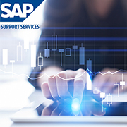 SAP Support Services