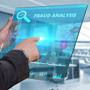 Fraud Analysis Software Development