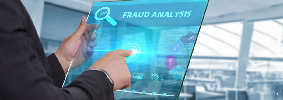 Fraud Analysis Software Development