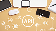 API Lifecycle Management Services