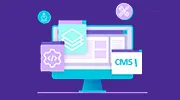 CMS Development Services 