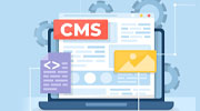 CMS Website Development