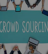 Crowdsourced Testing Services