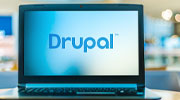 Drupal development services