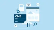 Python CMS Development