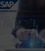SAP Support Services