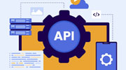 Web API Services