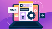 WordPress CMS Development Services