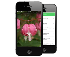 Developed Plant Recognition Mobile App for US Entrepreneur