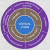 Critical Chain Project Management