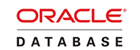 Oracle Database