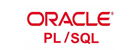 PL/SQL