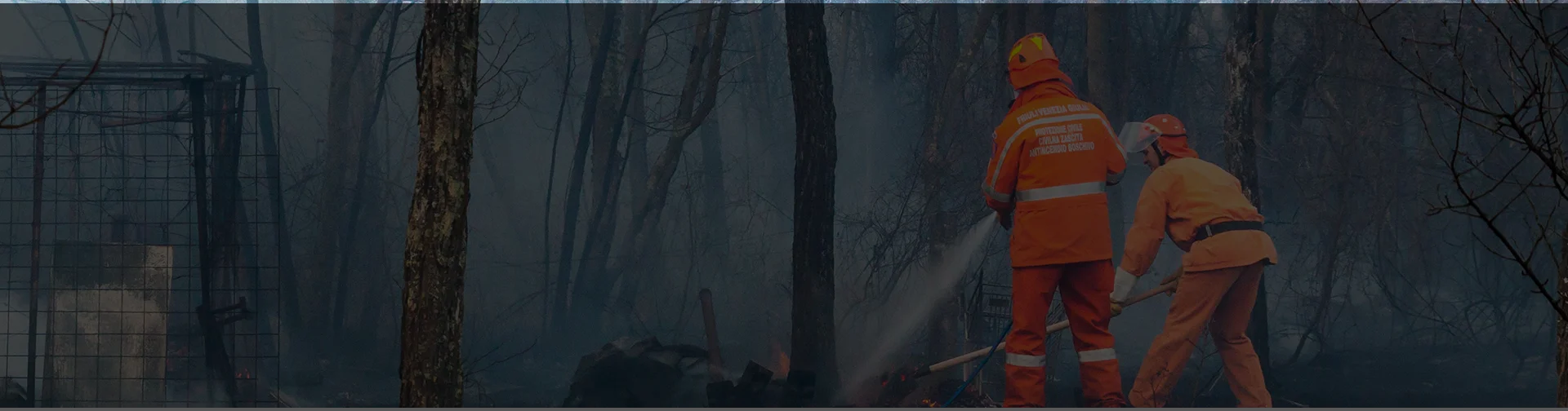 AI Fire Detection Support for a Wildfire Monitoring Company