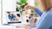 Veterinary Virtual Assistant