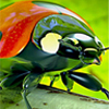 3D Animation Creation 3D Animation Creation