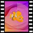 Animation Films Creation for Swiss Coordinator Animation Films Creation for Swiss Coordinator