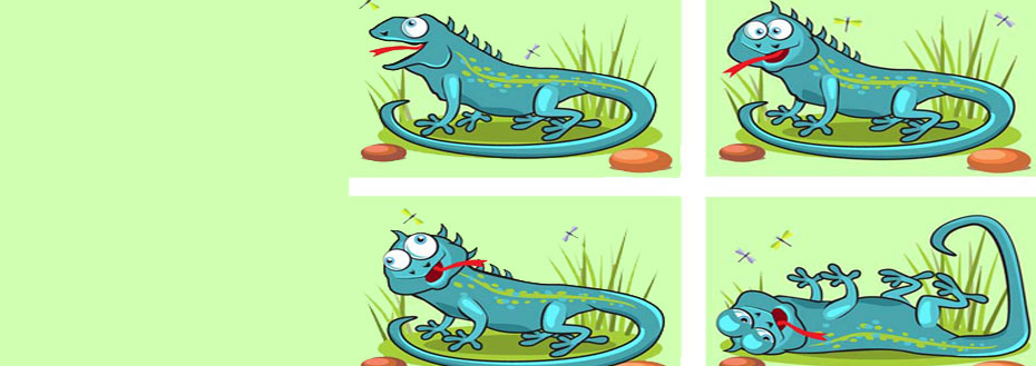 Case Study on 2D Animation for US Marketing Company