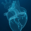 Graphical Abstract Illustrations Graphical Abstract Illustrations