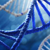 Scientific Animation Illustrations Scientific Animation Illustrations