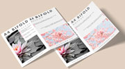 Bi-Fold Brochures