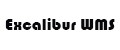 Excalibur WMS Excalibur WMS