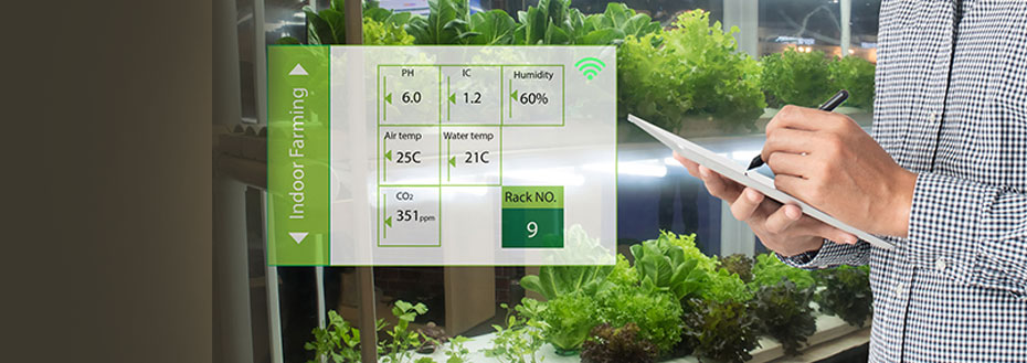 Case Study on Image Tagging & Analysis for Agricultural Firm