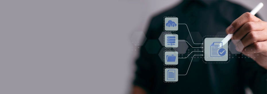 Data Extraction Services