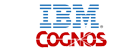 IBM Cognos