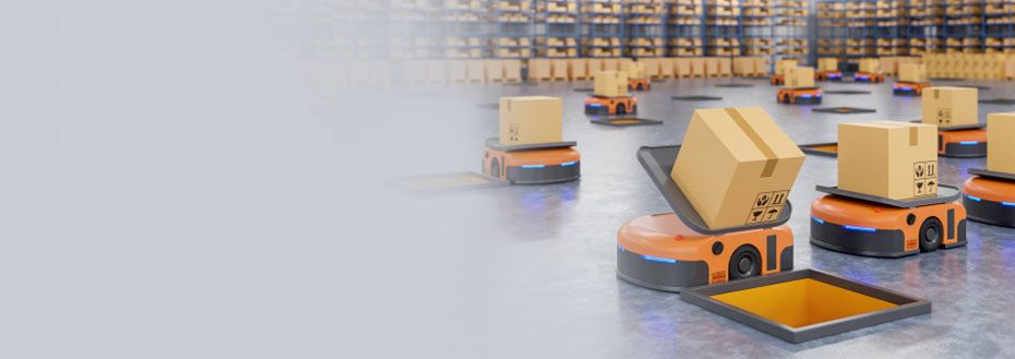 Outsource SKU Data Management Services