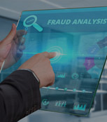 Fraud Analysis Software Development