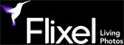 Flixel