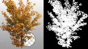 Precise Clipping Path Precise Clipping Path