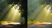Shadow and Highlight Adjustment Shadow and Highlight Adjustment