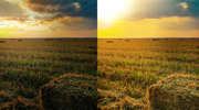 Stock Photo Resizing and Enhancement Stock Photo Resizing and Enhancement