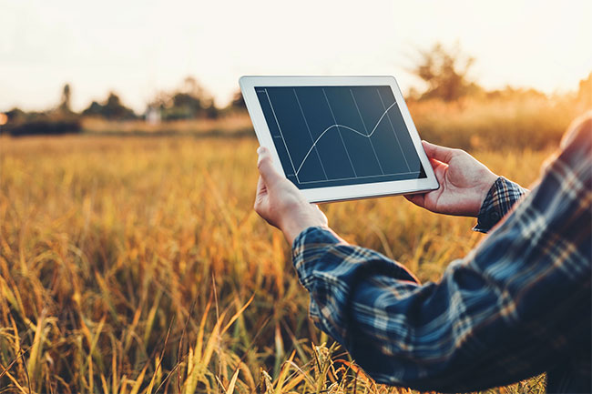 Outsource Agricultural Market Research Services - FWS