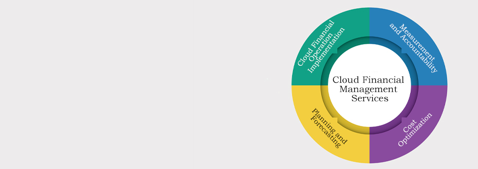 Outsource Cloud Financial Management