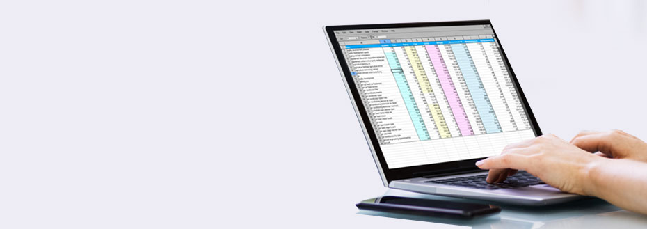 Outsource Excel Accounting Services
