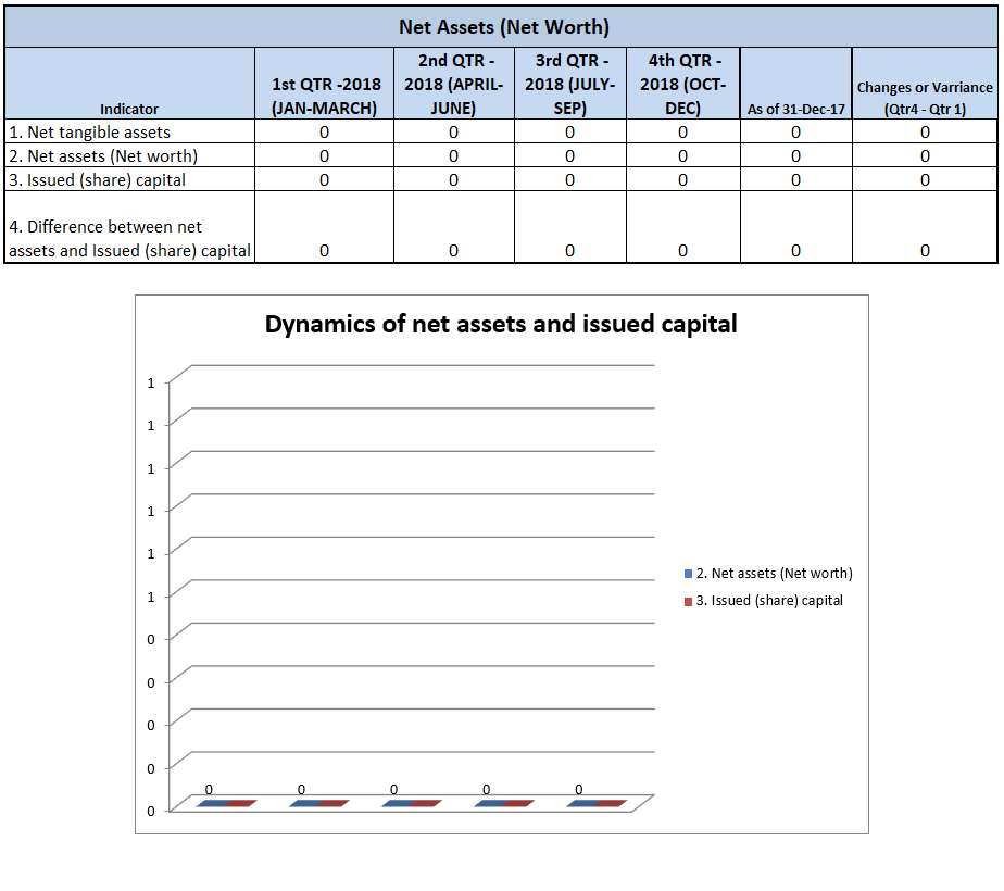 Net Assets (Net Worth)
