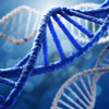 Bio-Molecular Illustrations Bio-Molecular Illustrations