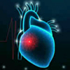 Cardiology Animations