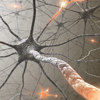 Neurology Animations