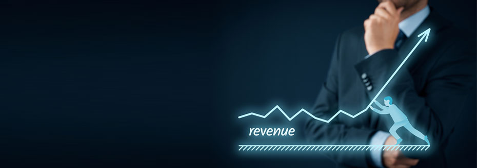 Outsource Revenue Improvement Services