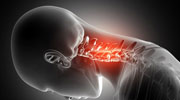 Medical Illustrations Medical Illustrations