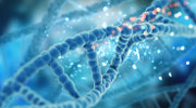 Science Animation Services Science Animation Services