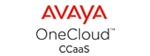 avaya