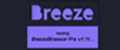 BreezeBrowser Pro