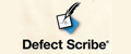 Defect Scribe