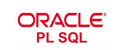 Oracle PL/SQL