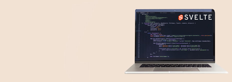 Hire Svelte JS Developers
