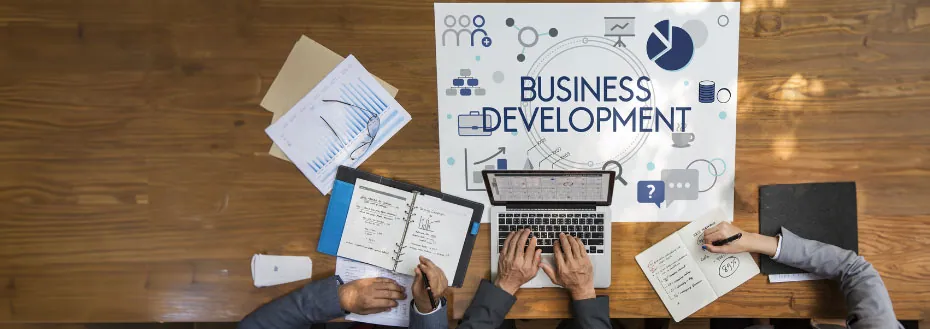 Business Development Support Services